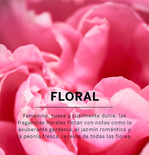 Fragancias Florales | Victoria Secret Chile Fragancias Florales | Victoria Secret Chile